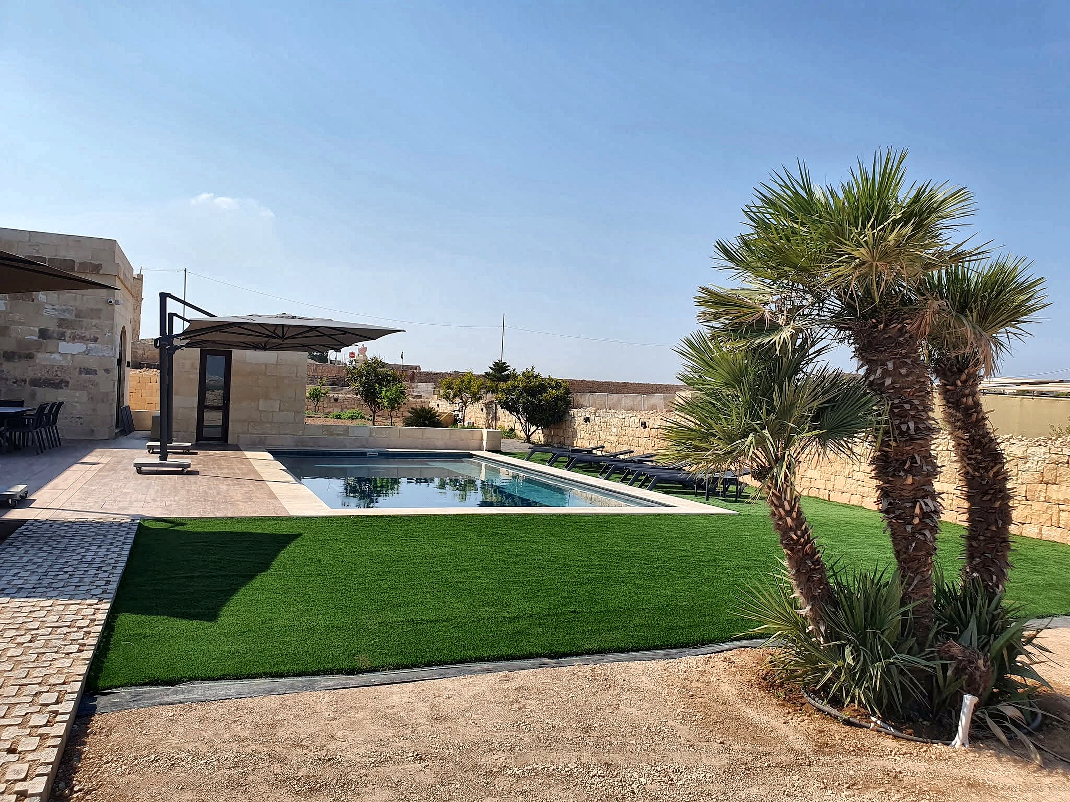 Pool terrace with palm tree at Ir-Razzett tal-Mastru
